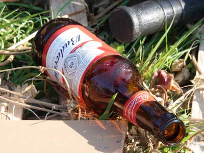 200719 litter