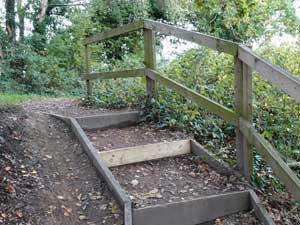 201110 steps